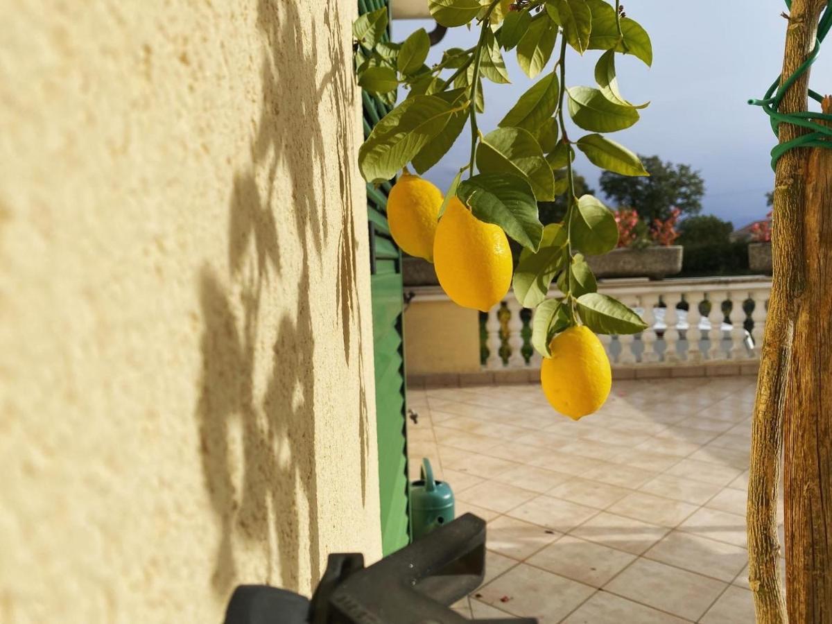 Villa Yucca Istra 拉宾 外观 照片