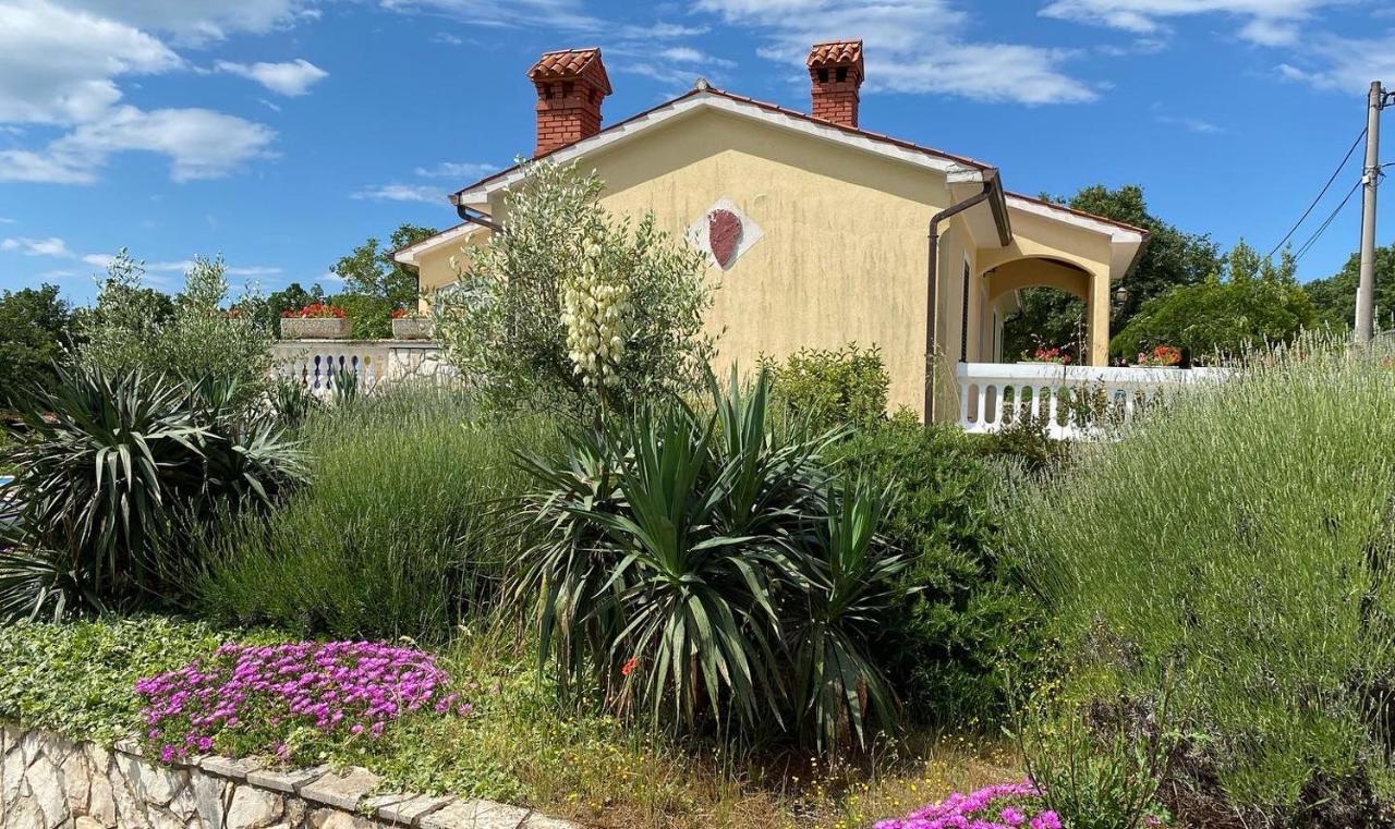 Villa Yucca Istra 拉宾 外观 照片